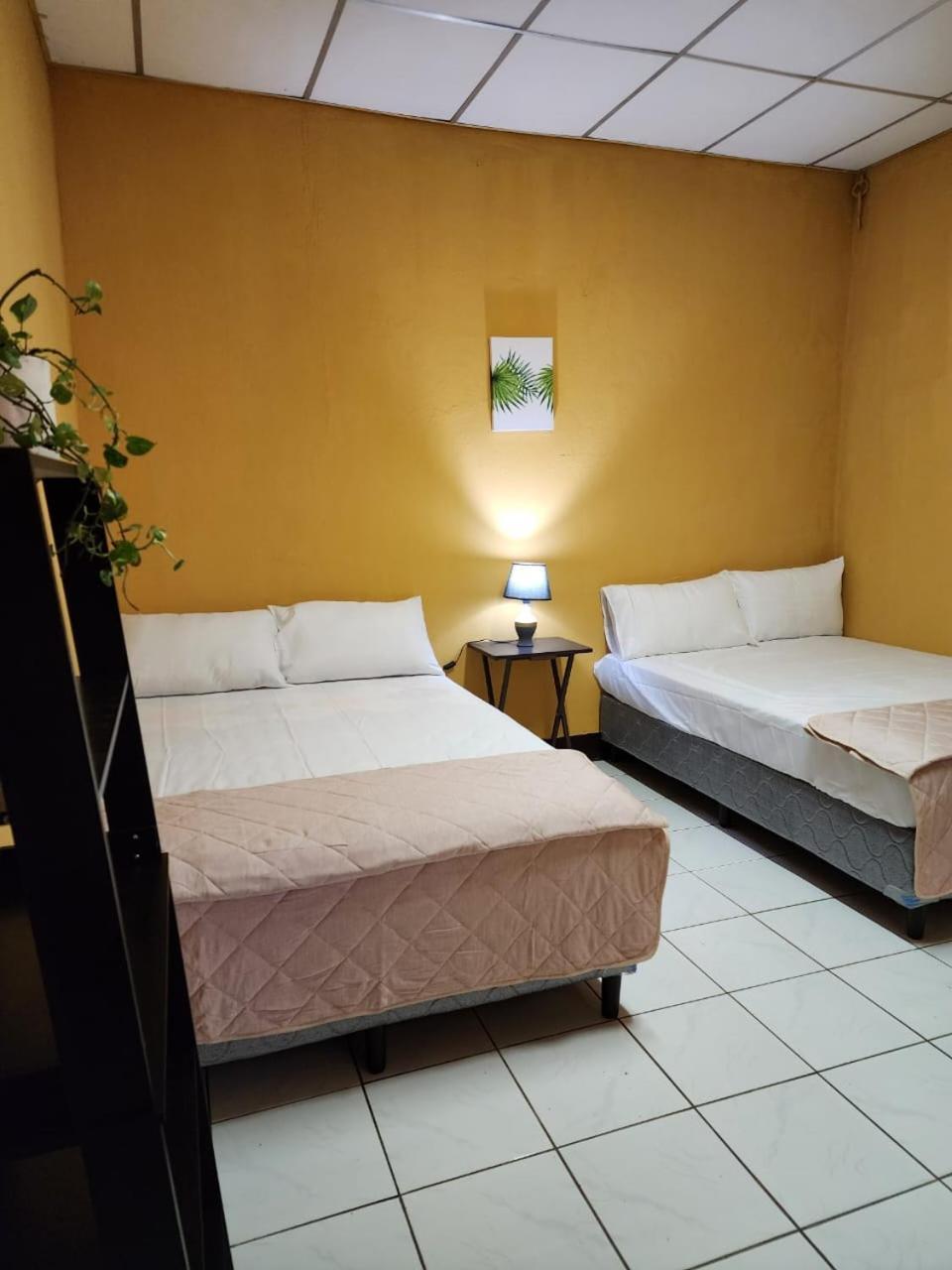 Casa Cempoal Bed & Breakfast Granada Ngoại thất bức ảnh